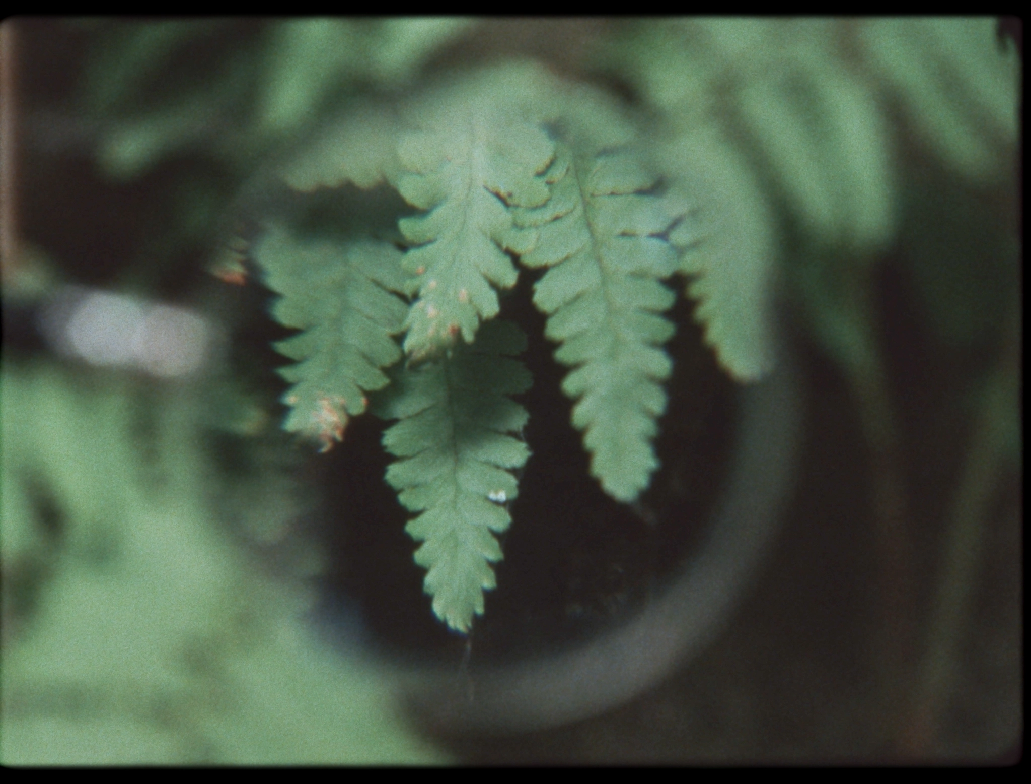 habiter-les-fissures-3